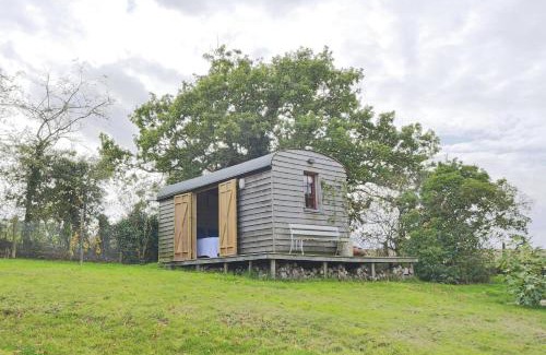 Thorington Casa | Glenview