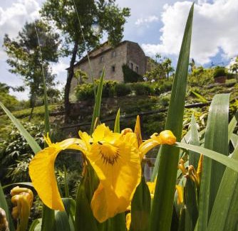 Todi Apartamento | Gli Appartamenti Di Torre Bertona