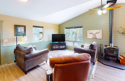 Cripple Creek Casa | Glistening dog-friendly mountain view home with balcony, fireplace, & kitchen