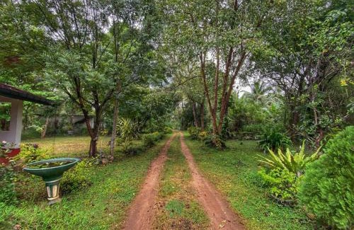 Inamaluwa Casa | Globetrotter Tourist Inn