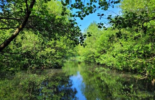 Lampeter Otro | Go Eco Glamping