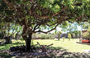 St. Helena Bay Casa | Goblin's Creek