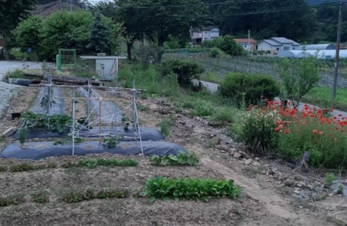 Goesan Casa | Goesan Byeolbitsanmagi Pension