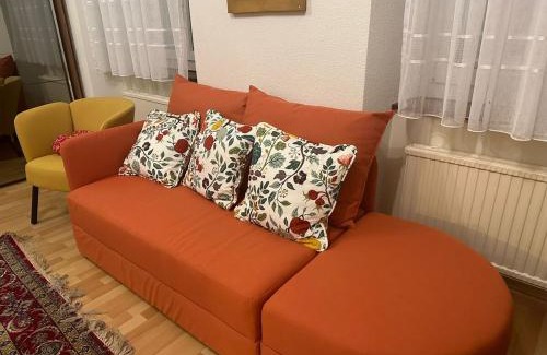 Dornach Apartamento | Goetheanum Casa