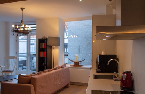 Centrum Apartamento | GOG B - Cosy Lofts Haarlem
