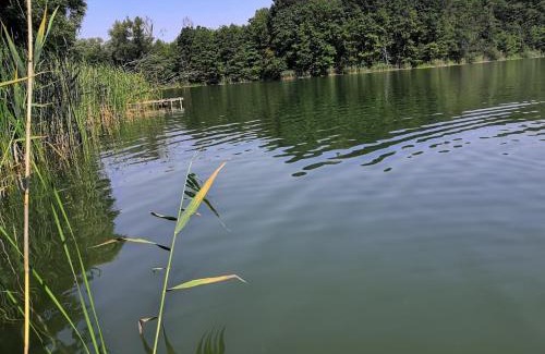 gmina Choszczno Casa | Golcza Vita