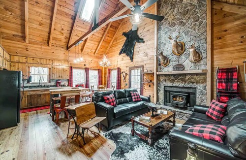 Dahlonega Cabina | Gold Mine Cabin - 3mins to Wolf Mnt Winery