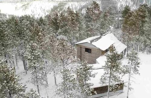 Deadwood Casa | Gold Nugget Lodge Near Deadwood on 5 Wooded Acres!