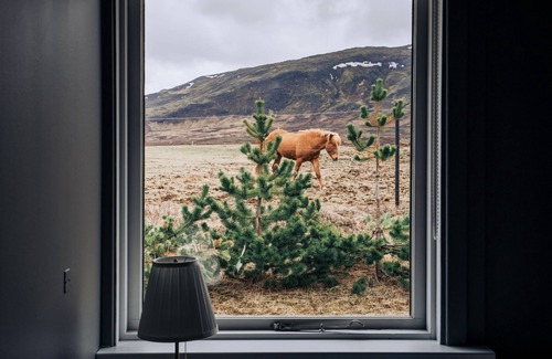 Breidholt Casa | Golden Circle Luxury Cottages