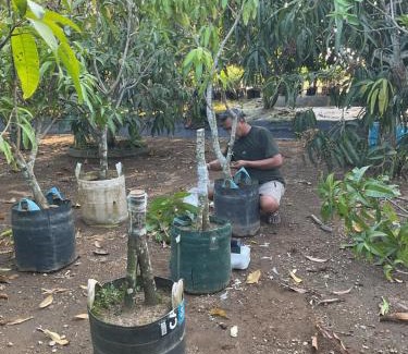 Tabanan Casa | Golden Mango Farmstay
