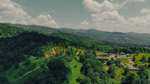 Transcarpathia Casa | GOLDEN ORSAG