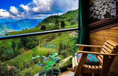 Kumburgaz Casa | Golden Paws Guesthouse