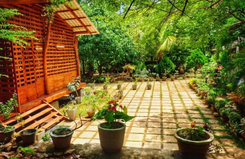 Dambulla Cama Y Desayuno | Golden Rainbow Guest House