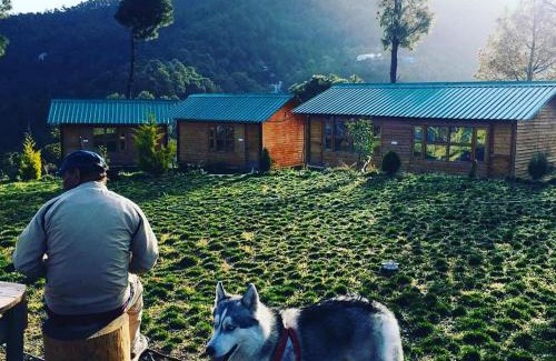 Chail Complejo | Golden valley cottages, Chail
