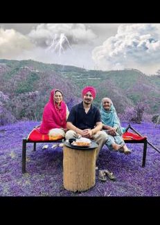 Chail Complejo | Golden valley cottages, Chail