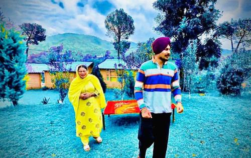Chail Complejo | Golden valley cottages, Chail