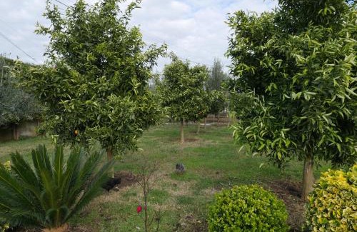 Rade Apartamento | Golden view