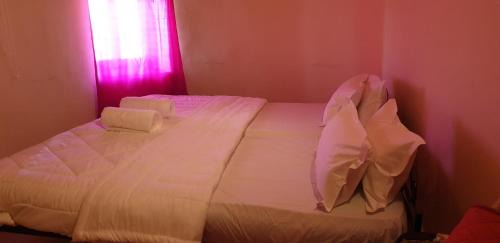 Amar Sagar Pol Hotel | Golden villa