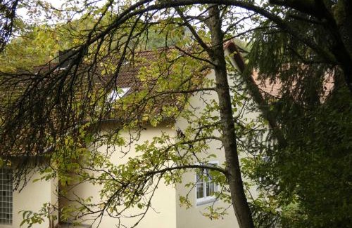 Goessweinstein Apartamento | Goldener Fuchs in Moschendorf