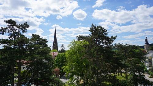 Meissen Apartamento | Goldrausch - Glanzvolle Ferienwohnung in Meißen am Lutherplatz
