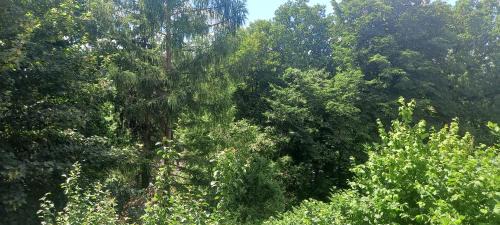 Windischeschenbach Casa | Goldsteig 3 - Doppelzimmer