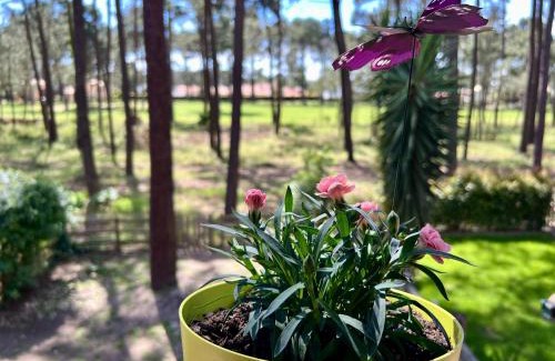 Charneca de Caparica e Sobreda Apartamento | Golf and Beach Serenity