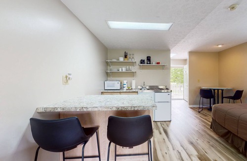 Baneberry Apartamento | Golf view, 2nd-floor studio with balcony, game room & gym - walk to Douglas Lake