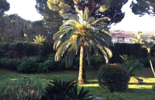 Golfe Juan Apartamento | Golfe Juan, quiet apartment with pool, near the beach