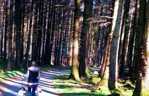 Ponterwyd Chalet De Esquí | Golygfa Dinas in Aberystwyth