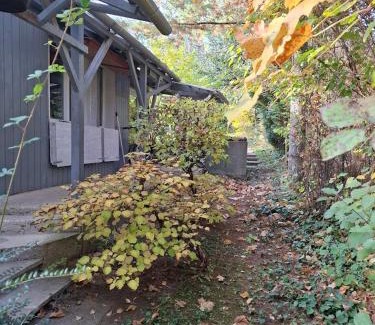 Nagymaros Apartamento | Gomba Kert