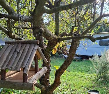 Nagymaros Apartamento | Gomba Kert