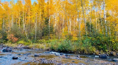 Two Harbors Apartamento | Gooseberry Trailside Suites