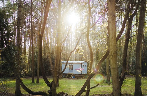 Melton Constable Cabaña | Goosewing Hut-QU7072