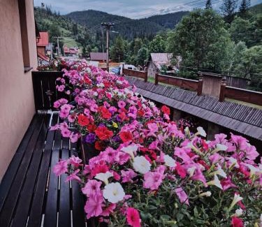Zdiar Casa | Goralturist