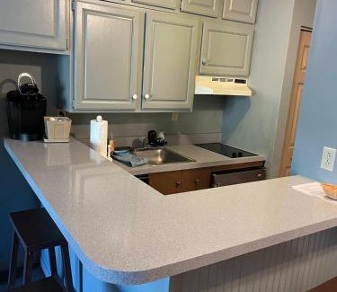 Hancock Apartamento | Gorgeous 1st FL Mtn View Jiminy Suite Sleeps 4 Ski On Off