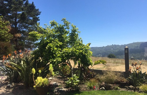 Highlands-Baywood Park Casa | Hermosa casa de 4 bd, 3 baños con vista impresionante