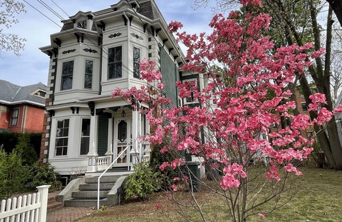 Porter Square Casa | Gorgeous 4+ br 3.5 ba Harvard mansion: Cambridge Cosmopolitan