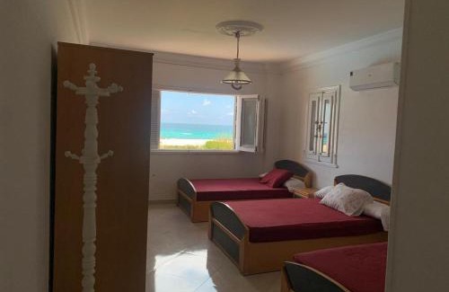 Borg el Arab Casa | Gorgeous Beachfront House in Sidi Krir