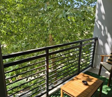 Downtown San Antonio Apartamento | Gorgeous Condo w Riverwalk Views Free Parking Pet Friendly Centrally Located on the Riverwalk