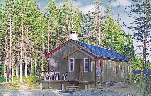 Ringbo Casa | Gorgeous Home In Särna With Sauna
