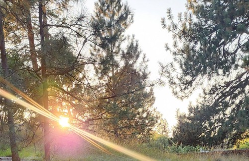 Moose Can Gully Casa | Gorgeous Mongolian Yurt w/Fire Pit and Creek- 10 minutes from downtown Missoula!
