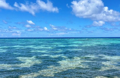 Colliers Bay Condominio | Gorgeous Oceanfront 2BR/2BA unit on the secluded, peaceful East End - Sleeps 6