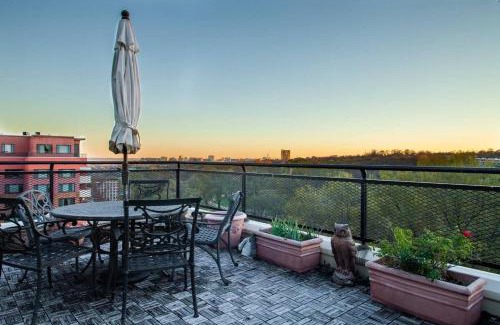 Rosslyn Casa | Gorgeous Rosslyn Penthouse w Views FREE Parking Metro Subway