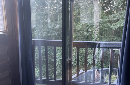 Tate Cabina | Gorgeous Rustin Cabin Close to Amicalola Falls!