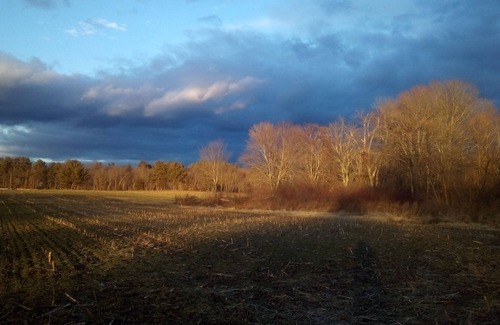 Acton Casa | Gorgeous views, remodeled farm house, Monthly, $3300. Mo. plas tax and fees