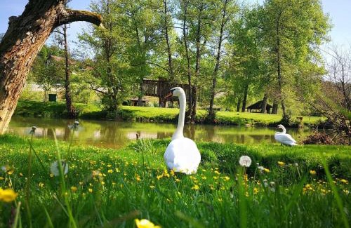 Zuzemberk Casa | Gostišče Koren