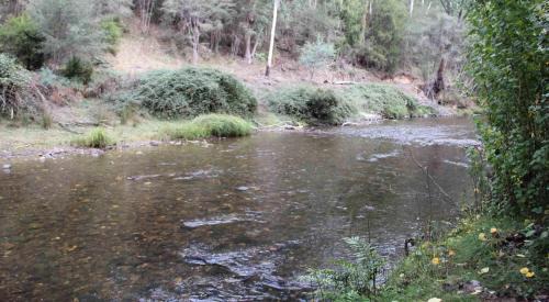 Jamieson Casa | Goulburn River Cottage