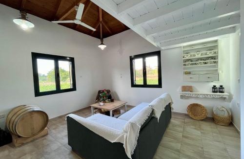 Kymi-Aliveri Casa | Gozzadini Vineyard!