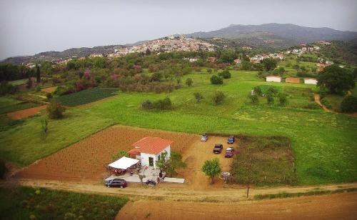 Kymi-Aliveri Casa | Gozzadini Vineyard!
