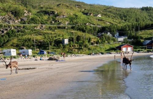Grøtfjord Casa | Grøtfjord